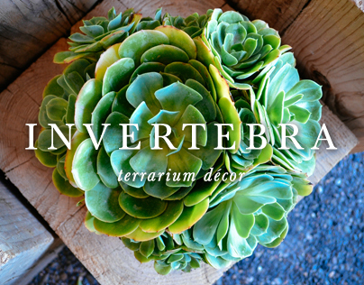 Invertebra ® Terrarium Décor