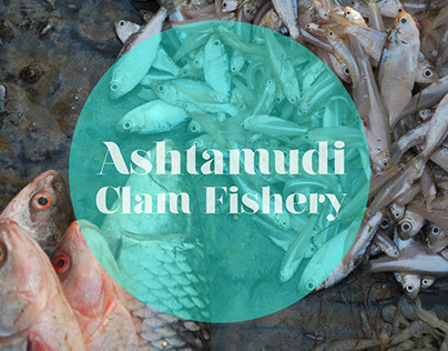 Ashtamudi Clam Fishery 