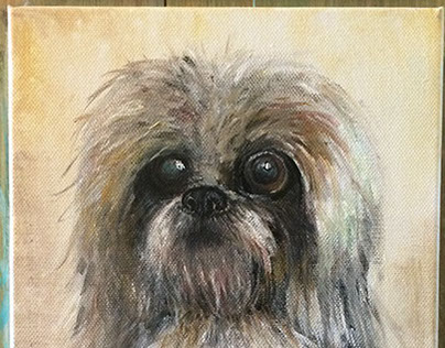 Pet portrait #2: Portrait of a sinister little dog