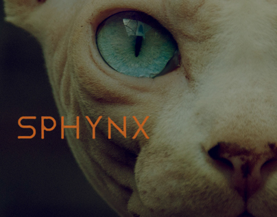 Sphynx Interactive Editorial