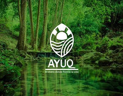 Ayuq | Branding