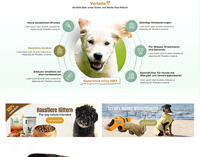 Project thumbnail - Dog food website, Dog food landing page