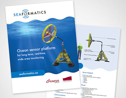 Seaformatics Flyer