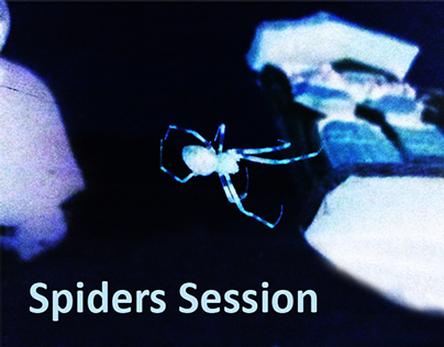 Spiders Session