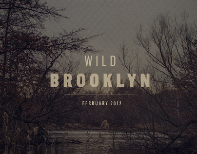 Wild Brooklyn