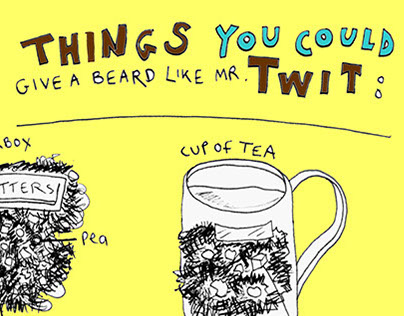 Things you could give a beard like Mr. Twit