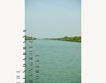 Sundarban National Park (West Bengal)