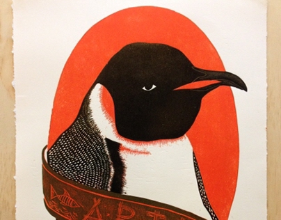  A.B.T.P Emperor Penguin 2014