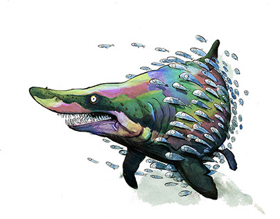 Digital Color Theory - Color Wheel Shark