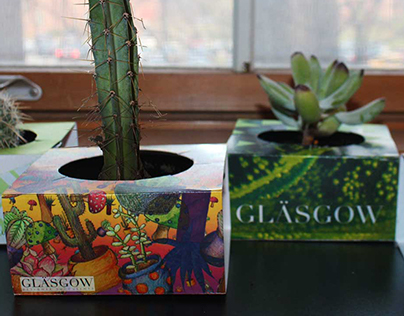 Glasgow Designer Succulents