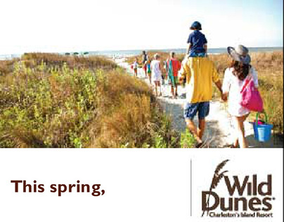 Wild Dunes Spring Banner