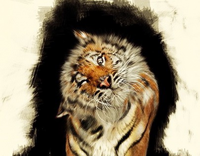 Tigra.