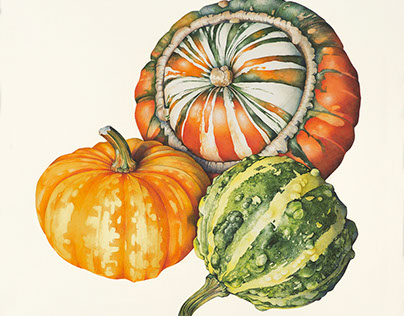 Gourds and Squashes
