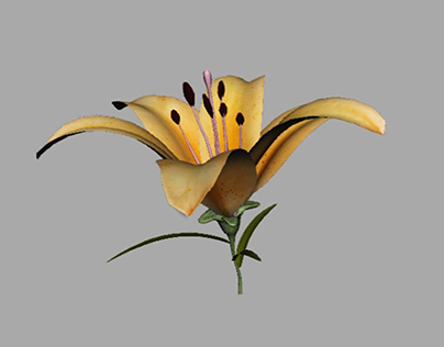 Flower_Growth_Animation