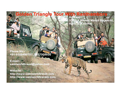 Golden Triangle Tour With Ranthambore In 6 Nights 7 Day