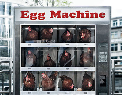 Ambient Noah Egg Machine