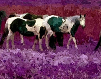 Horses Of The Purple Sage