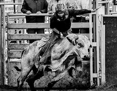 Rodeo 2014