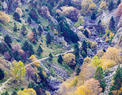 colores de otoño (Pirineos)