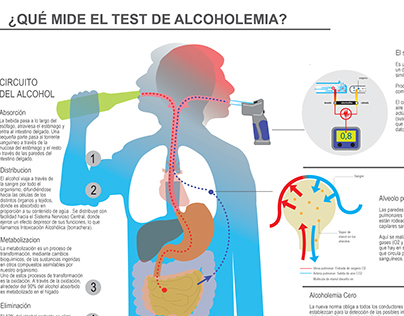 Alcoholemia Cero  (Zero tolerance law) Infographic.