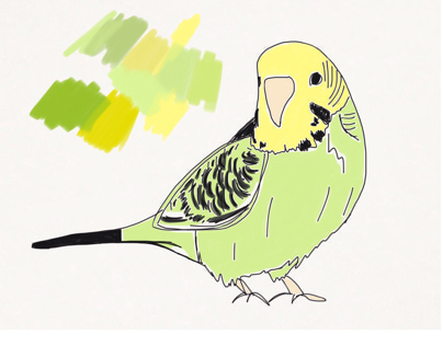 Budgie Projects Photos Videos Logos Illustrations And