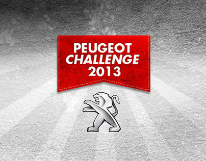 WEB - Peugeot Challange 2013