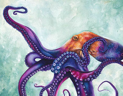 Rainbow Octopus