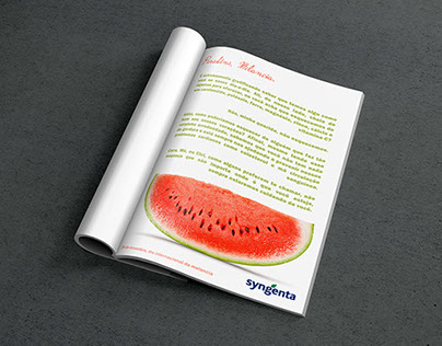 Watermelon Day - Syngenta