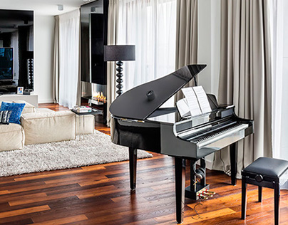 Private apartment shaped by music