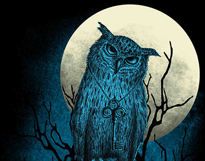 Owl on skull under the moonlight