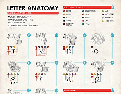 Letter Anatomy Instructions