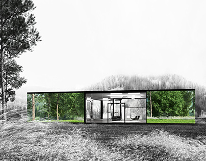 The Mirror/Glass House