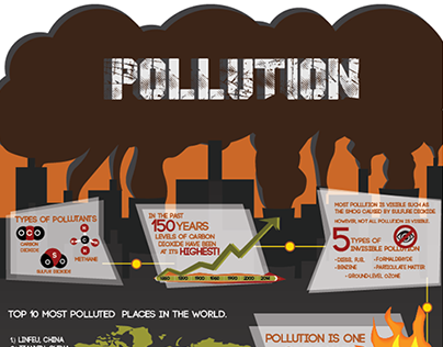 Pollution Infograph
