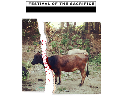 Festival Of The Sacrifice