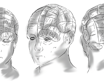 Phrenology head, Skull & Brain (2016 / School Project)