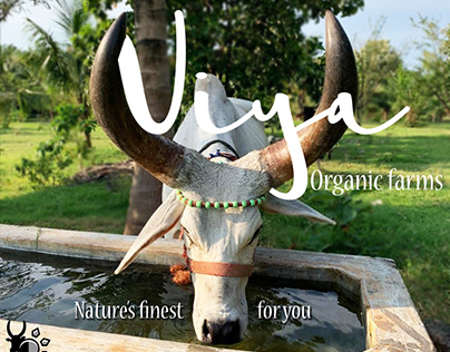 Viya organic farms. Part 3