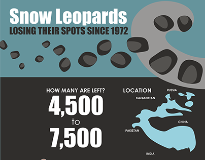 Snow Leopard Infographic