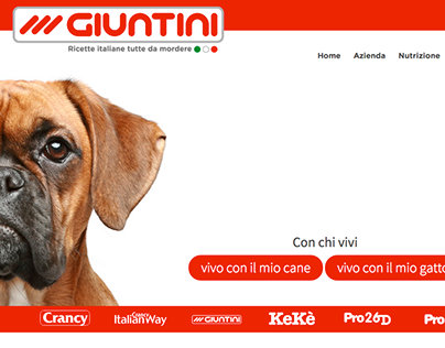Giuntini2014 WebDesign