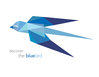 Bluebird Rebrand Competition