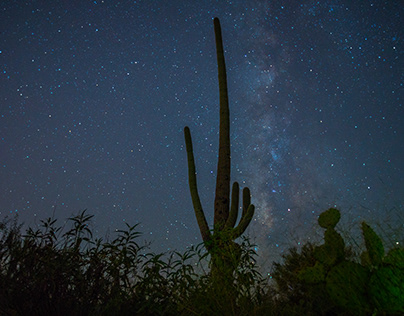 Saguaro National Park - Milky Way Time Lapse