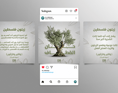 Olive social media design