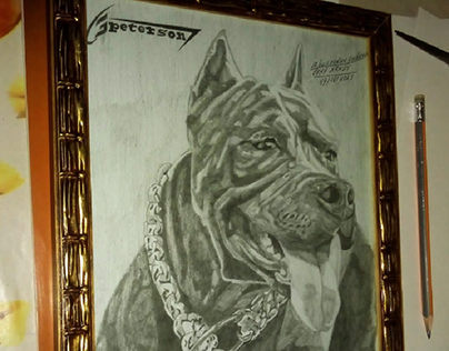 desenho e retrato de pitbull em uma moldura
