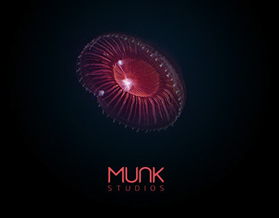 Munk Studios