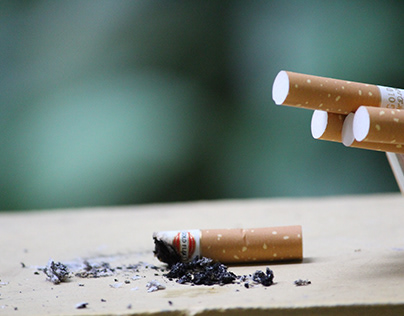 Overview of the Tobacco Industry and its Work