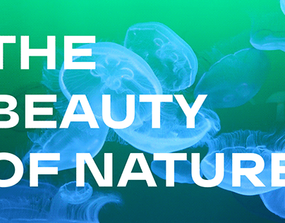 The beauty of nature. (MOTION GRAPHIC)