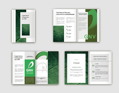 Campanha, design e logomarca GNV