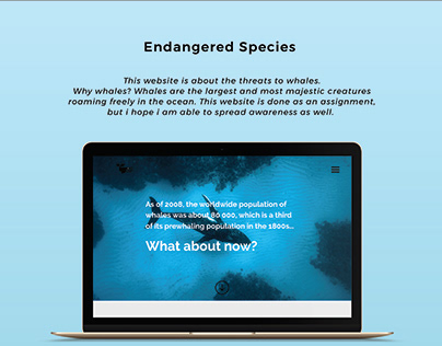 Web Design | Endangered Species