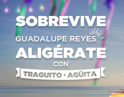 Guadalupe-Reyes 2019