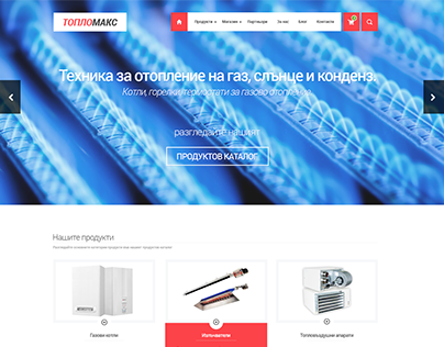 Corporate custom website design - toplomax.com