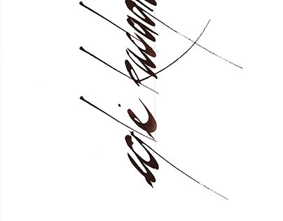 CALLIGRAPHY. calligraphic image reflection
